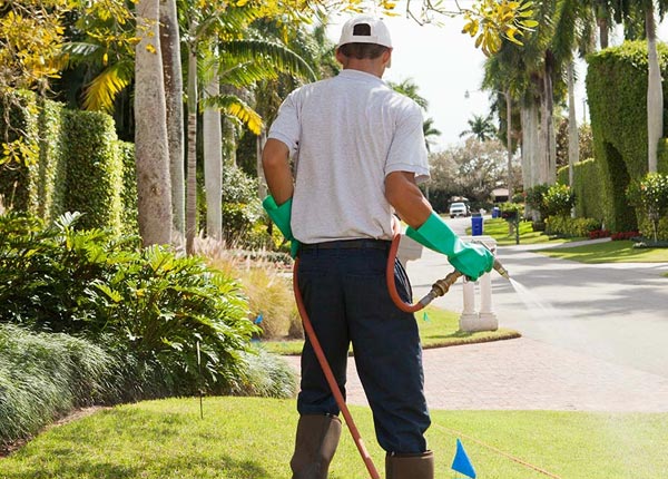 About Cedar Point KS Pest Control